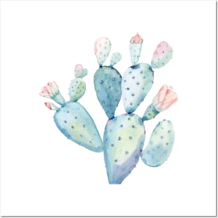 Beautiful Cactus Bloom Posters and Art